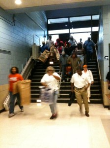 The herd is on the move