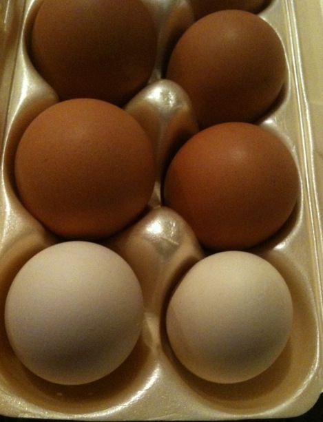 Jeanne's with competitors