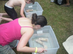 Bobbing for pigs' feet