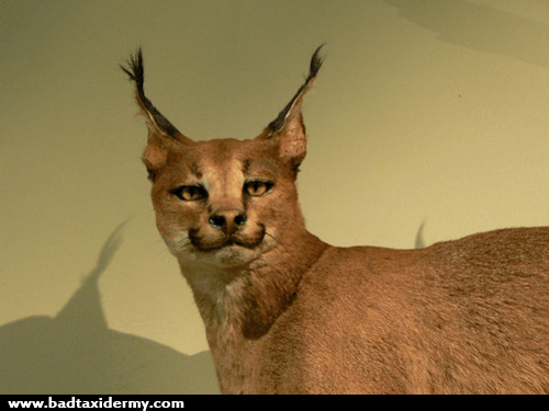 According to Dad's legal papers, I share power of attorney with Kat. We have to agree on any decisions regarding his care. We do not agree.