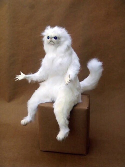 Dad is supposed to be released this week. There is no plan for in-home care. Kat is not speaking to me. Dad rotates among three main states: confused, angry, depressed. Only once in a while is he the dad I remember. 