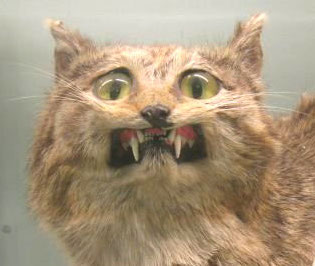 I do not know what will happen next. 